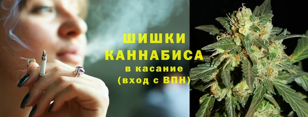 МДПВ Елабуга