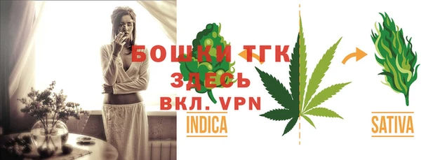 2c-b Ельня