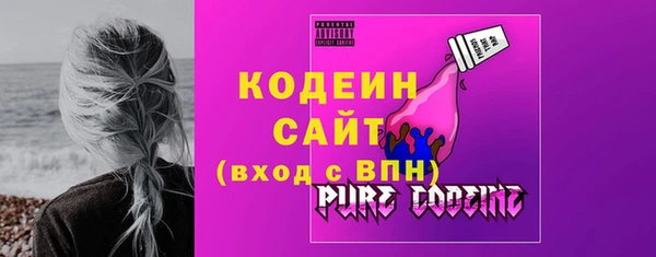 2c-b Ельня