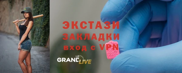 2c-b Ельня