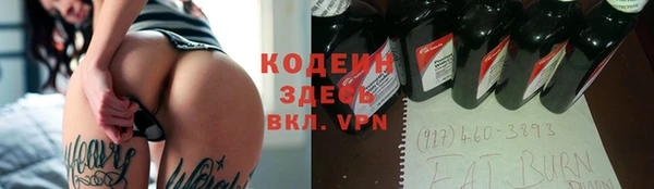 2c-b Ельня
