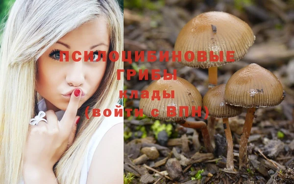 прущая мука Елизово