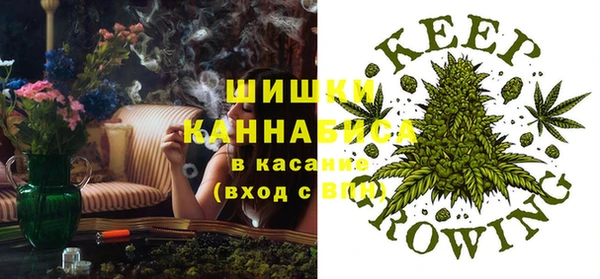 2c-b Ельня