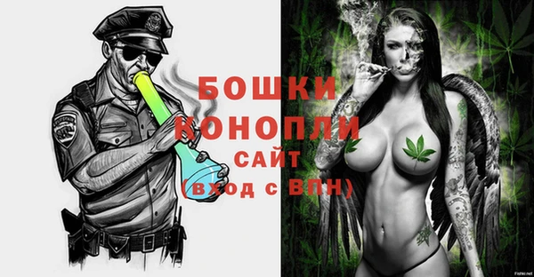 2c-b Ельня