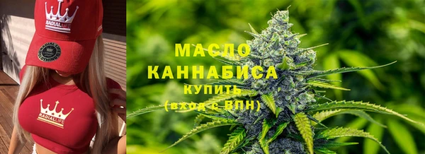 2c-b Ельня