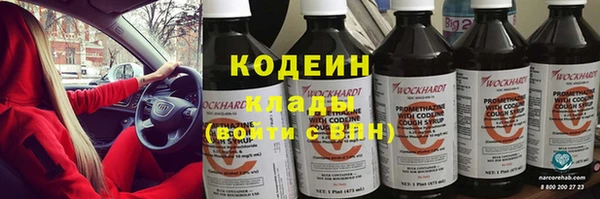 МДПВ Елабуга