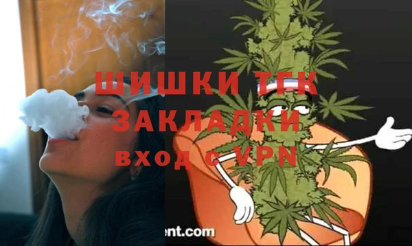 2c-b Ельня